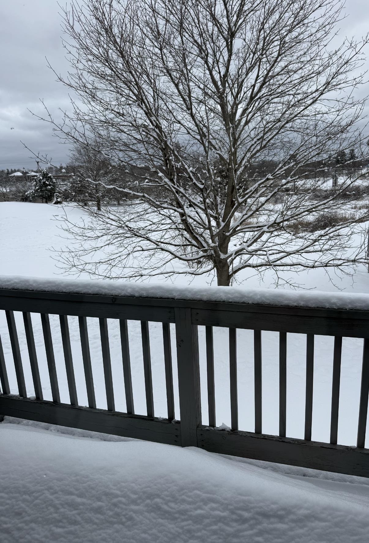 5 Tsienneto Road, Unit 136 Derry, NH 03038 - Photo 8 of 17