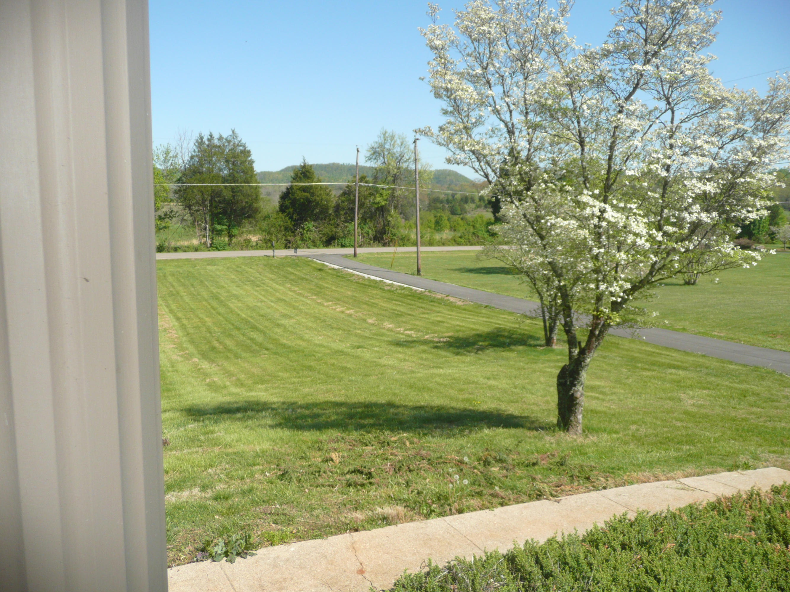 5601 Maloneyville Road Corryton, TN 37721 - Photo 19 of 31 Yard1