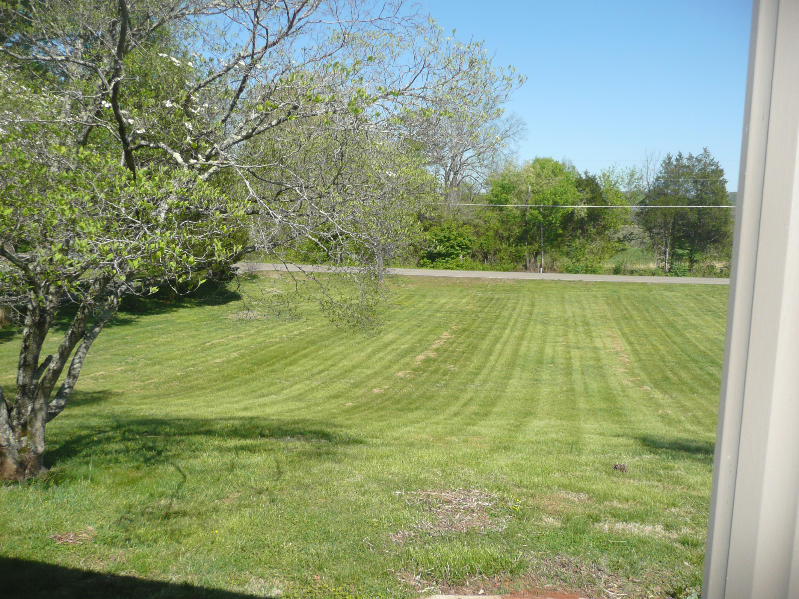 5601 Maloneyville Road Corryton, TN 37721 - Photo 20 of 31 Yard2
