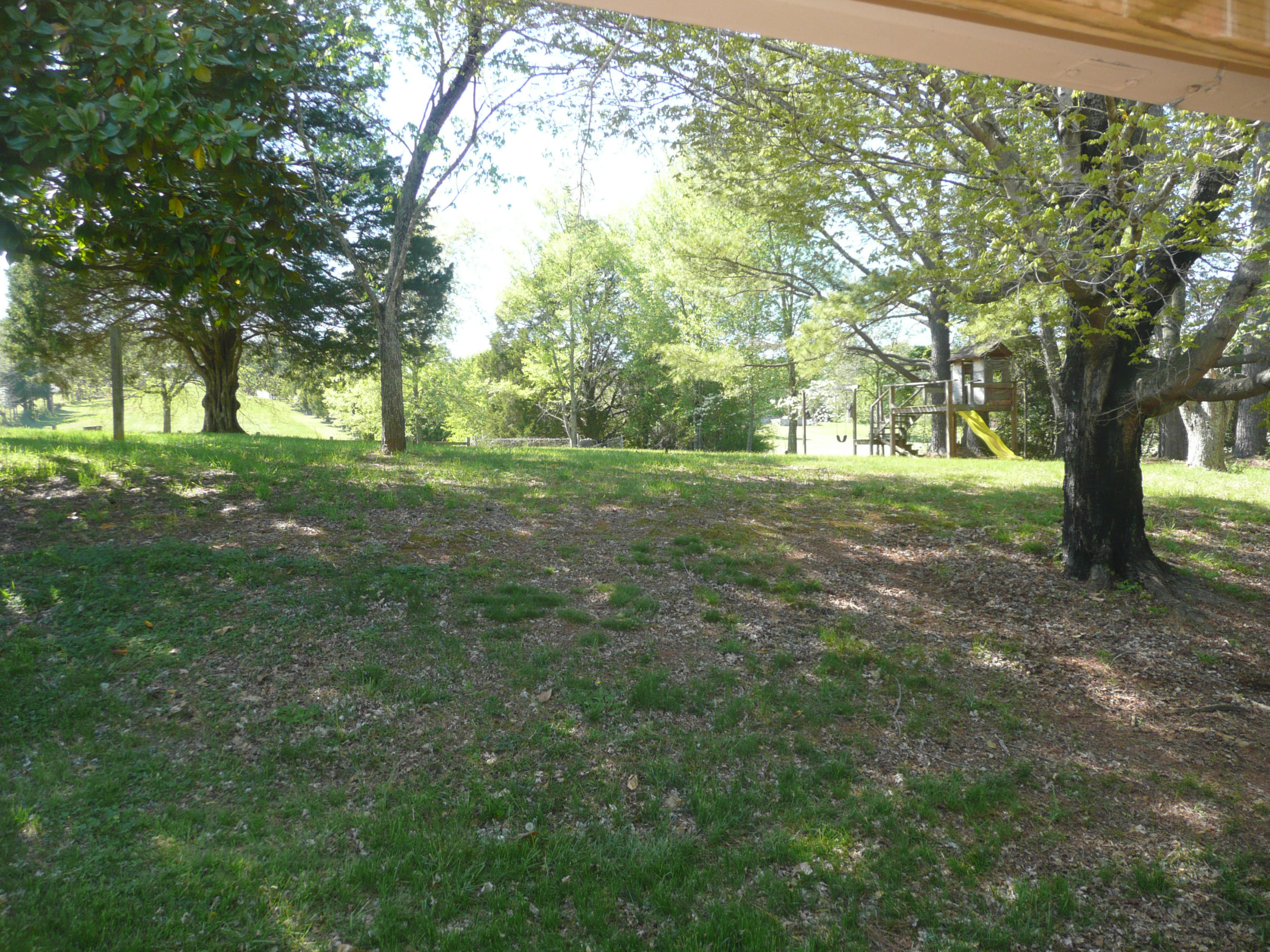 5601 Maloneyville Road Corryton, TN 37721 - Photo 23 of 31 Yard3