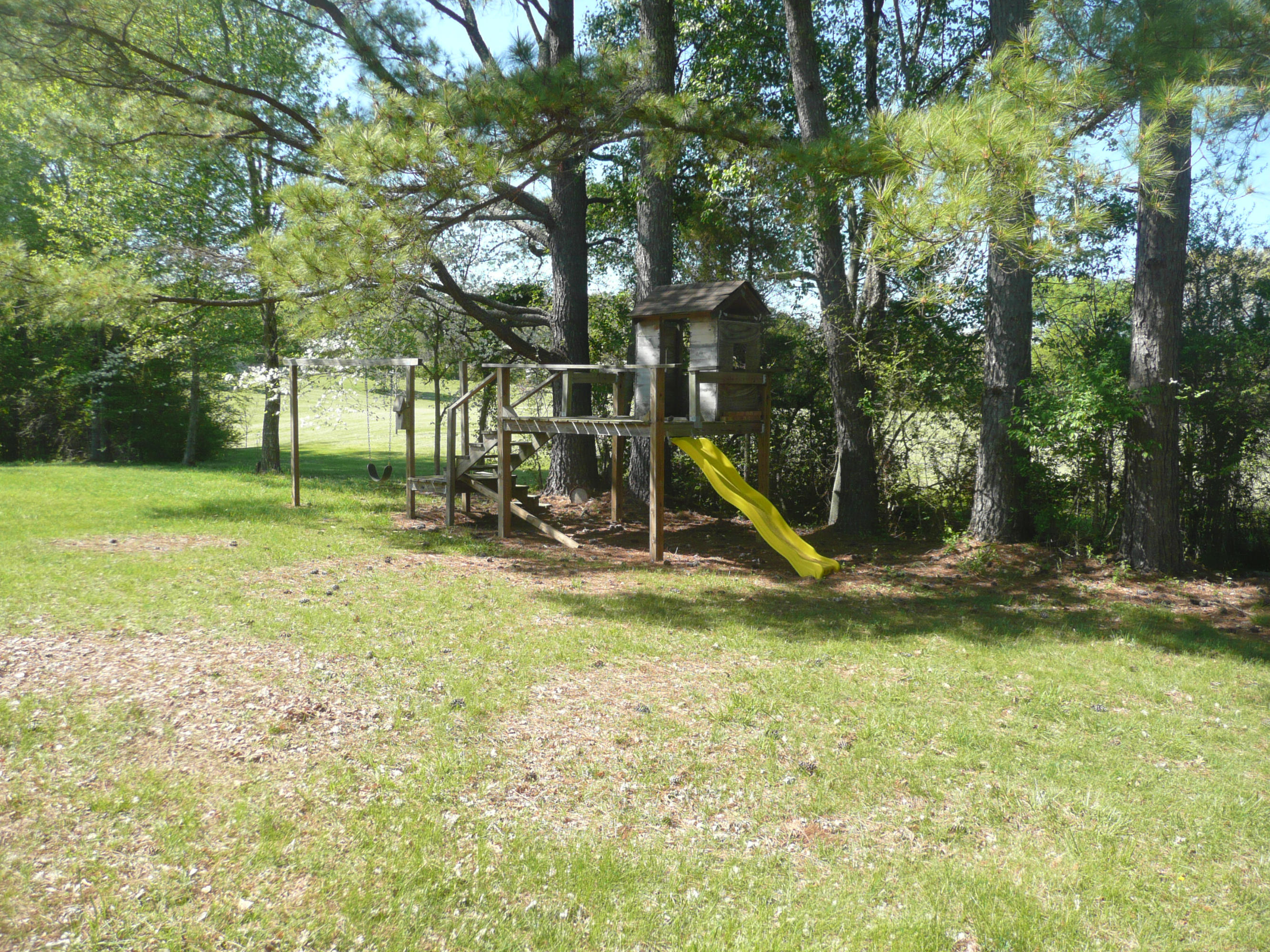 5601 Maloneyville Road Corryton, TN 37721 - Photo 25 of 31 Yard5