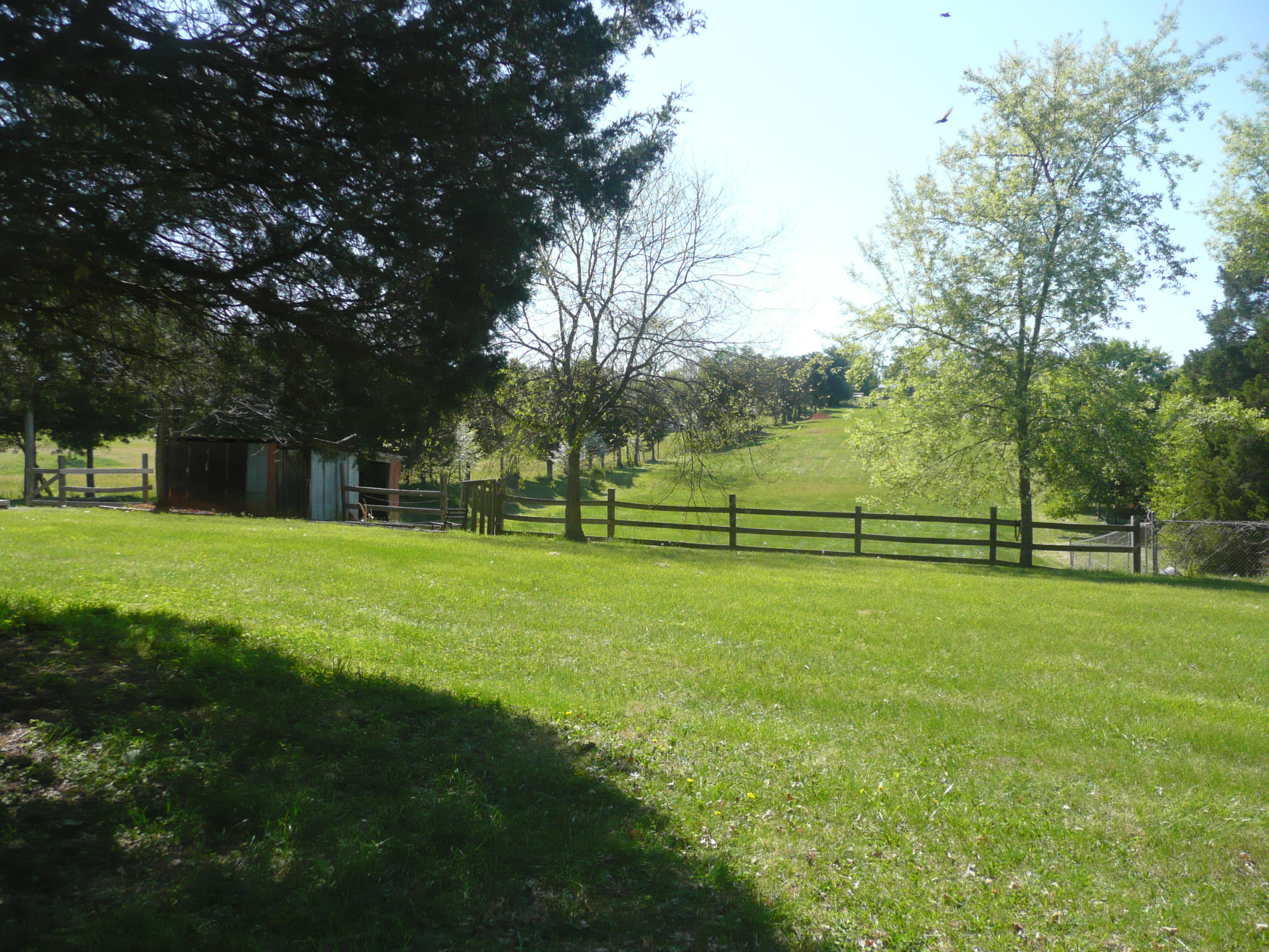 5601 Maloneyville Road Corryton, TN 37721 - Photo 27 of 31 Yard6