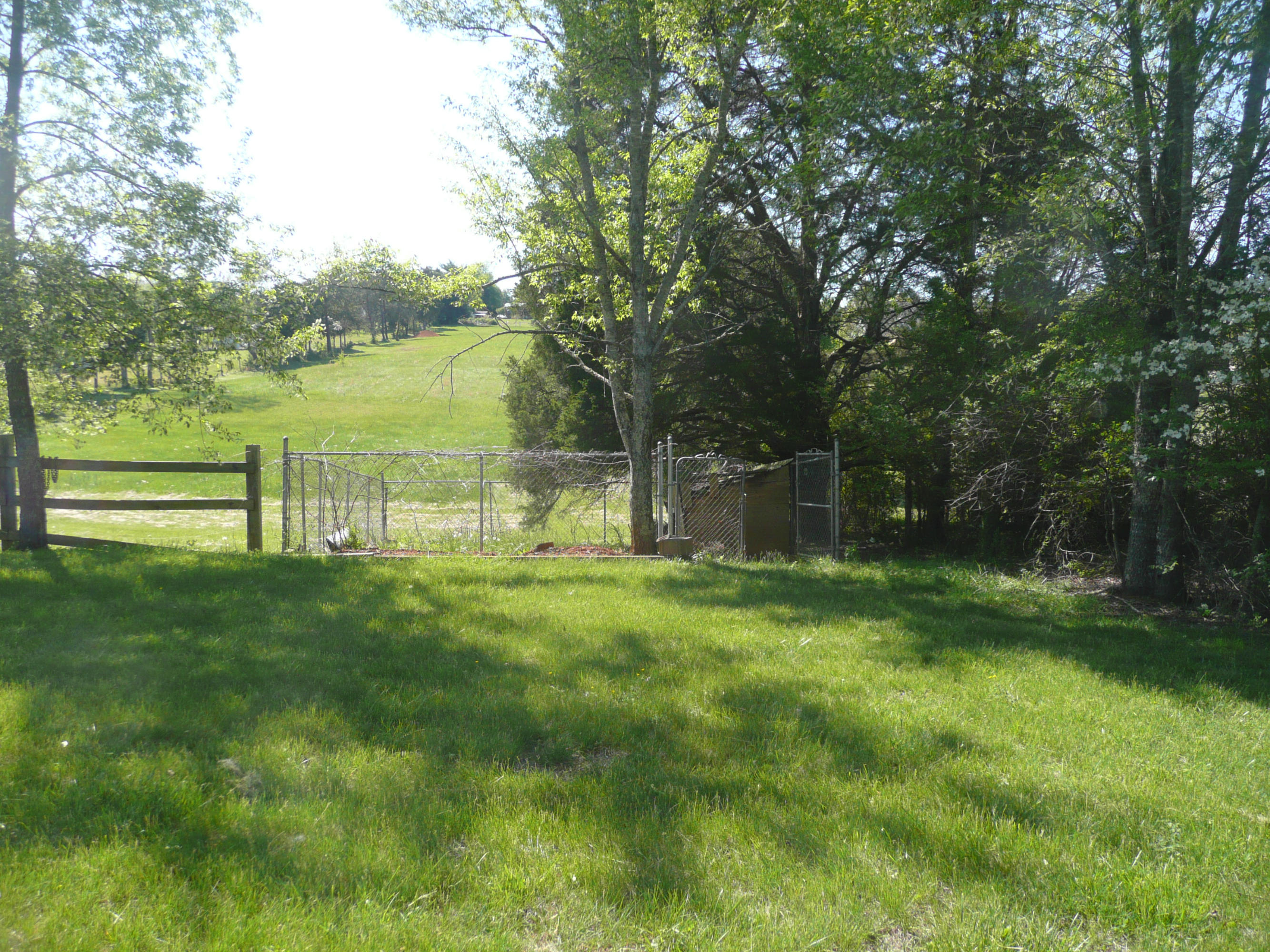5601 Maloneyville Road Corryton, TN 37721 - Photo 28 of 31 Fence to back acres