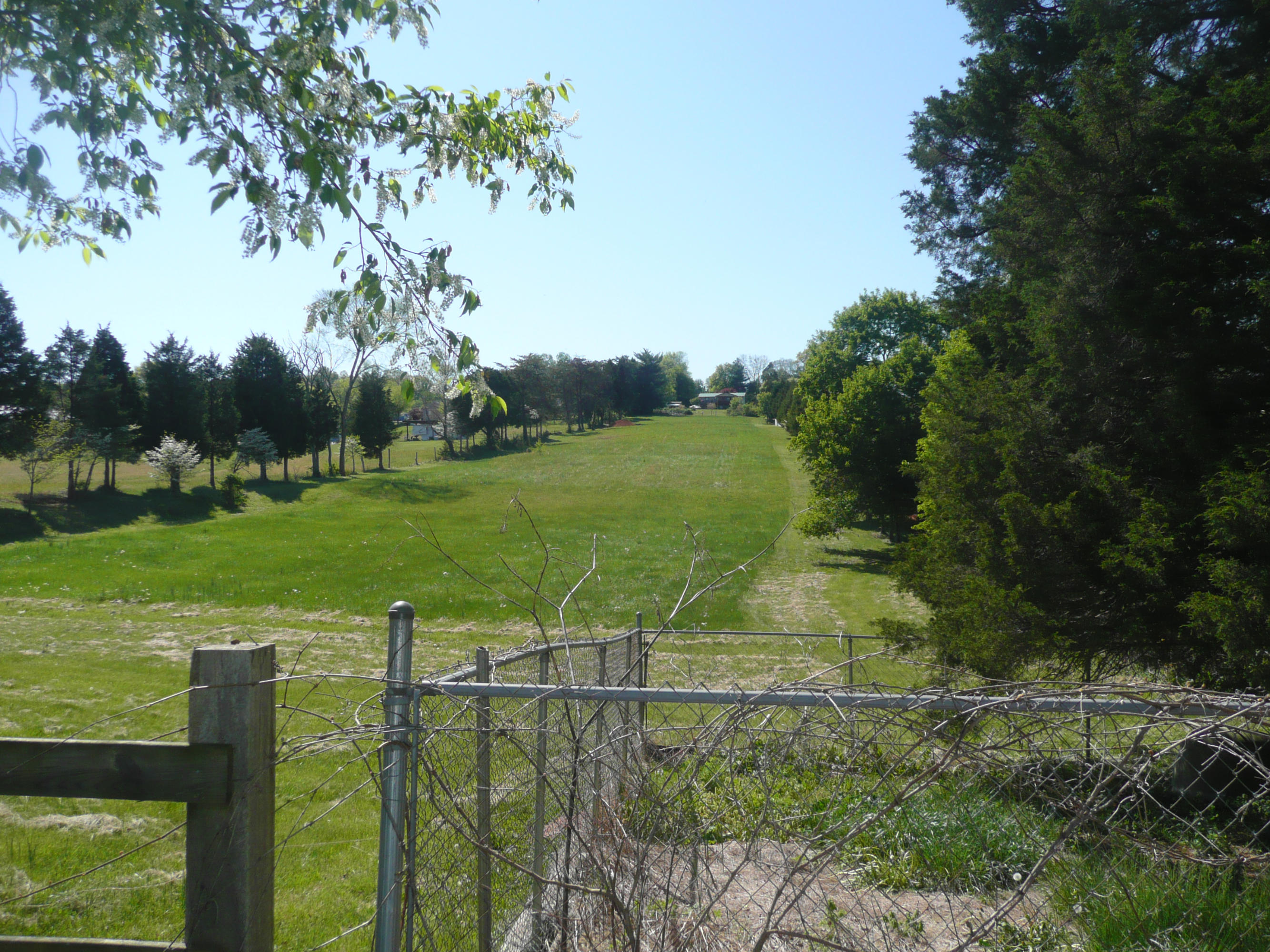 5601 Maloneyville Road Corryton, TN 37721 - Photo 29 of 31 Back acres