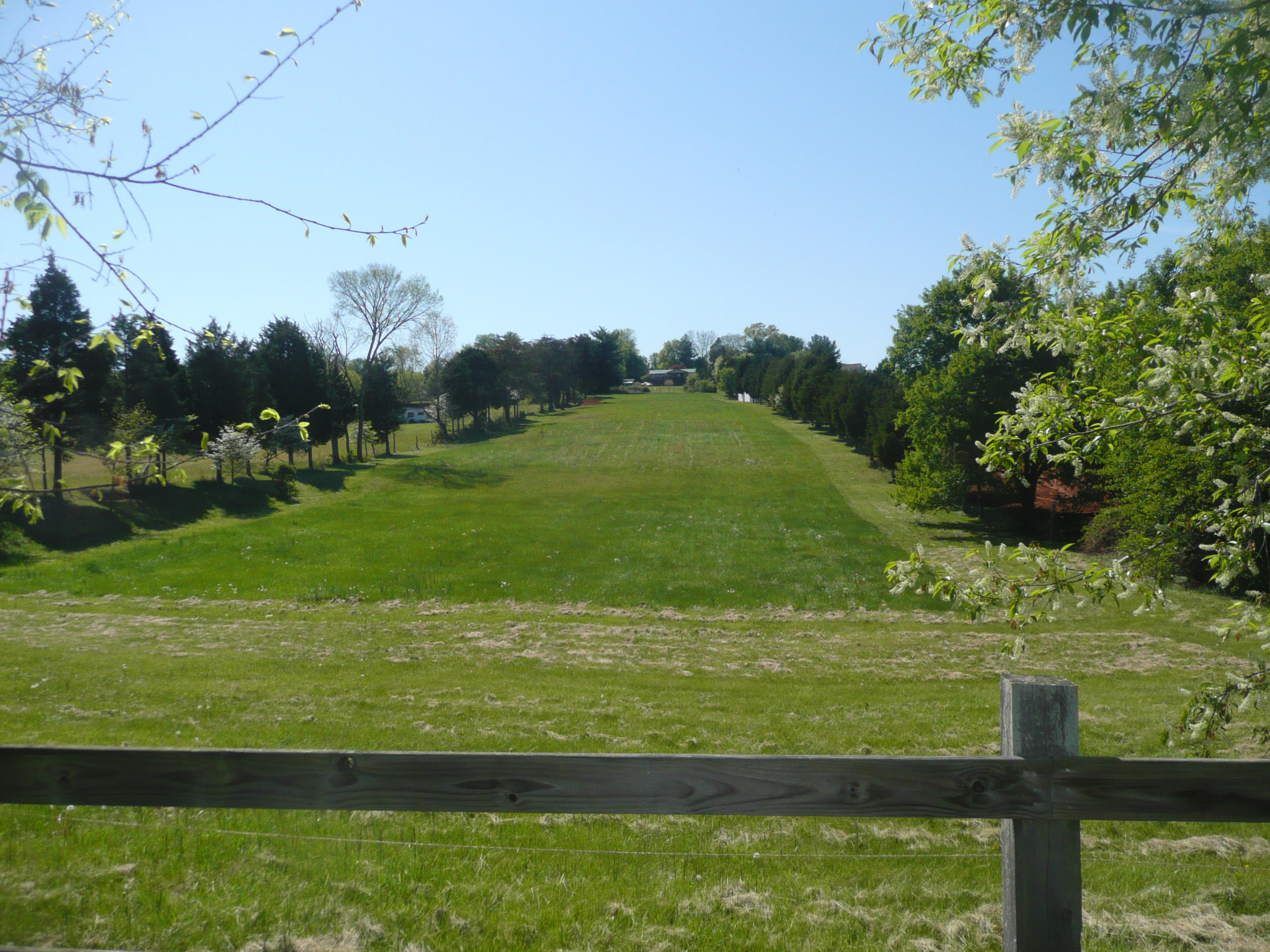 5601 Maloneyville Road Corryton, TN 37721 - Photo 31 of 31 Back acres 2