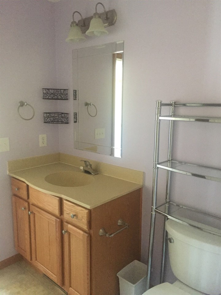 12853 Gary Road Chesaning, MI 48616 - Photo 19 of 26