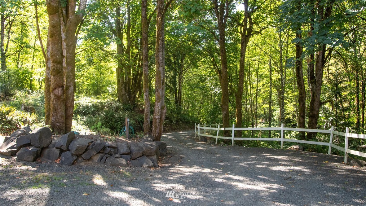 16704 Sargent Road Southwest Rochester, WA 98579 - Photo 6 of 40 a view of park with trees