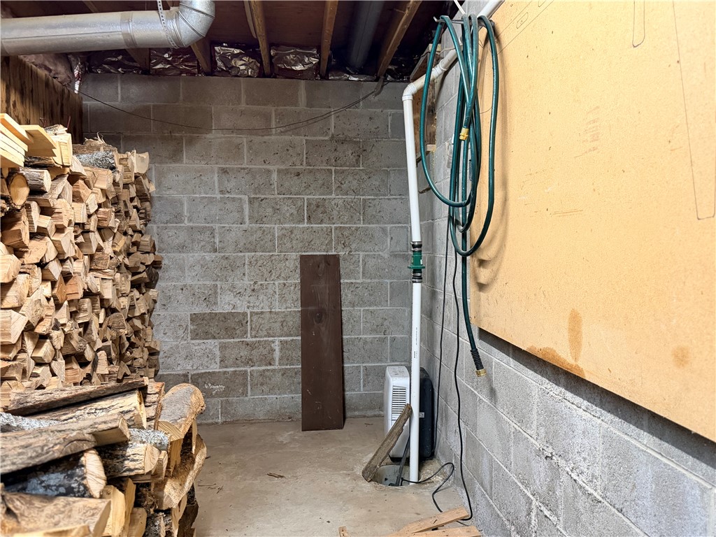 2134 County Route Hornell, NY 14843 - Photo 40 of 45 wood storage sump pump