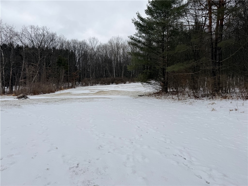 2134 County Route Hornell, NY 14843 - Photo 9 of 45 back yard
