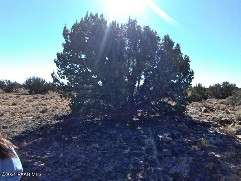 6224 Shoehorn Road Heber, AZ 85928 - Photo 11 of 16 IMG_20180113_115454