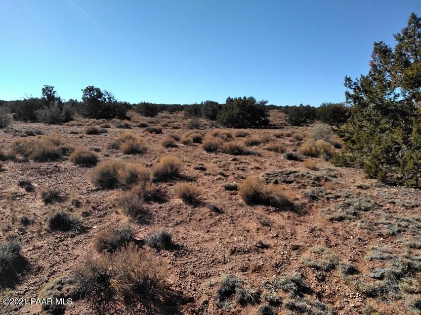 6224 Shoehorn Road Heber, AZ 85928 - Photo 12 of 16 IMG_20180113_120601