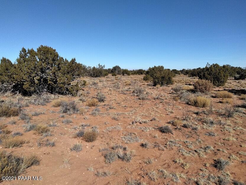 6224 Shoehorn Road Heber, AZ 85928 - Photo 13 of 16 IMG_20180113_120827