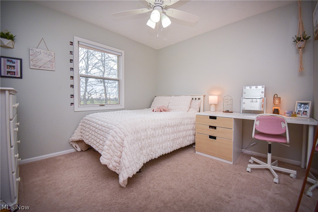 4702 Paradise Road Seville, OH 44273 - Photo 28 of 50 Bedroom 3