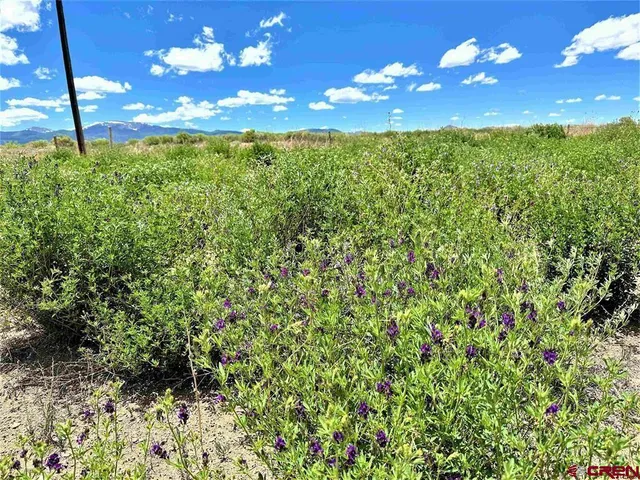 a view of a green yard