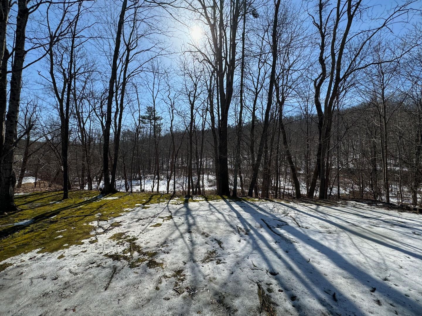 250 Meriden Road Lebanon, NH 03766 - Photo 27 of 35