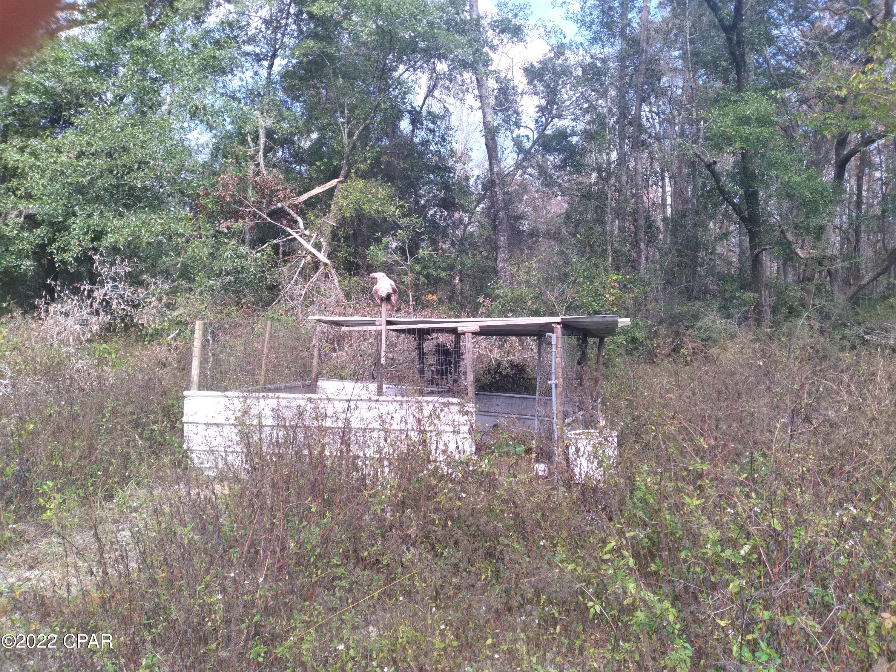 4522 Douglas Ferry Road Caryville, FL 32427 - Photo 12 of 19 Gallery Image 12