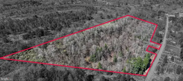 a close up of a palm tree