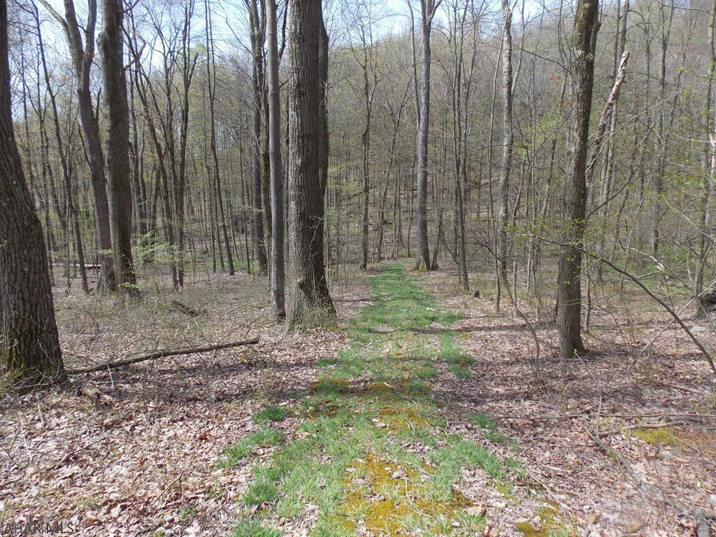 . Weldon Lane Tyrone, PA 16686 - Photo 1 of 6 Gallery Image 1