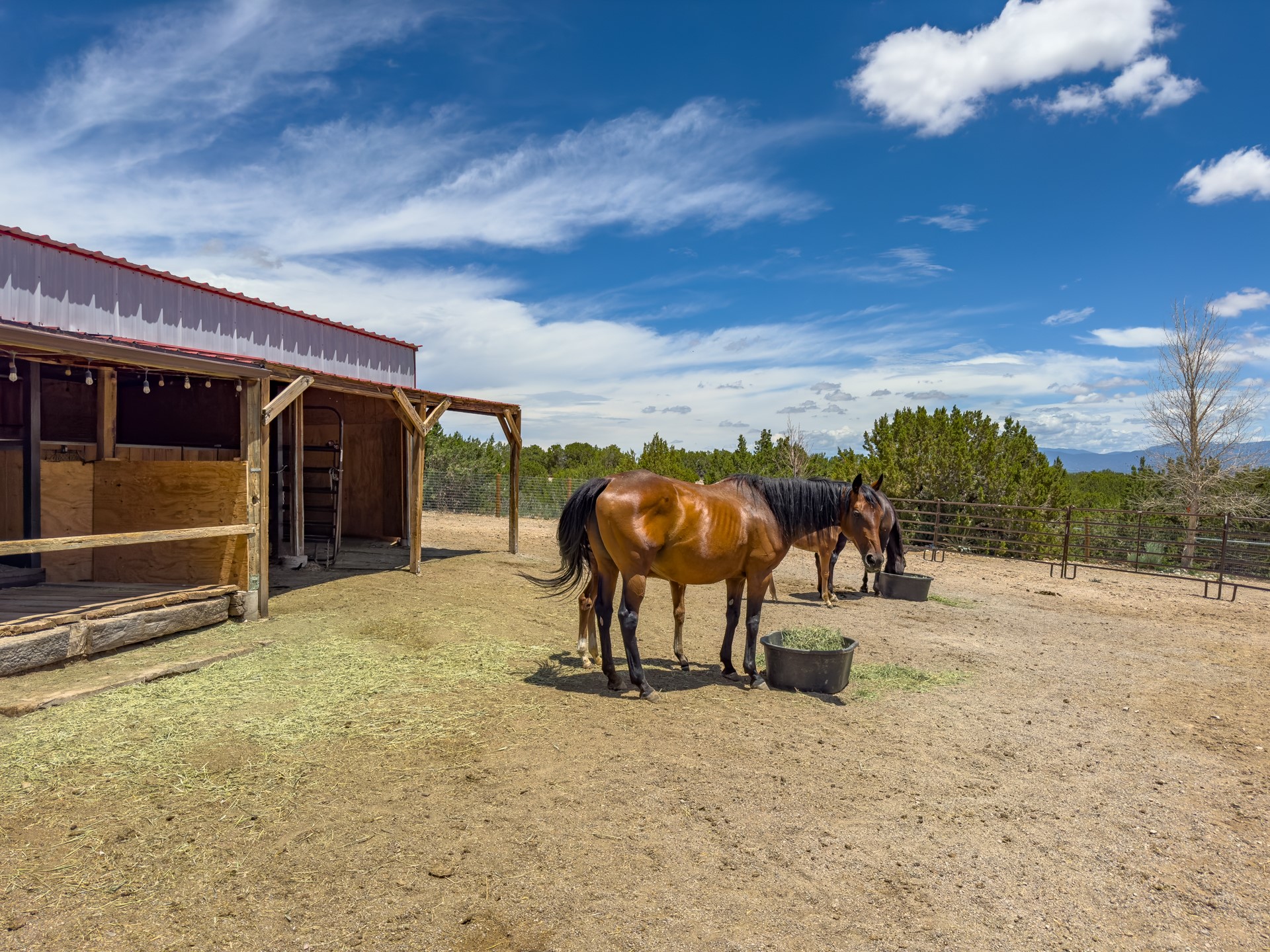 171 Silver Hills Road Santa Fe, NM 87508 - Photo 32 of 53