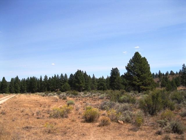 0 Godowa Springs Road Beatty, OR 97621 - Photo 4 of 12 Additional Photo