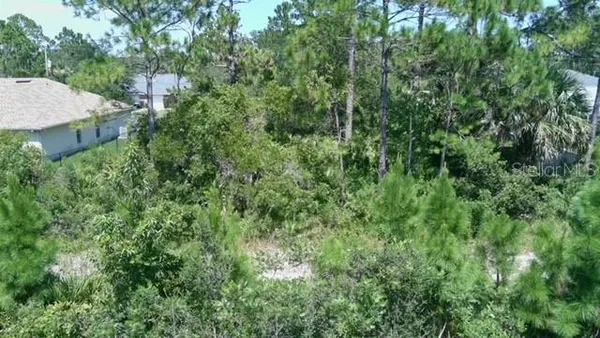 an aerial view of residential house with outdoor space and trees all around