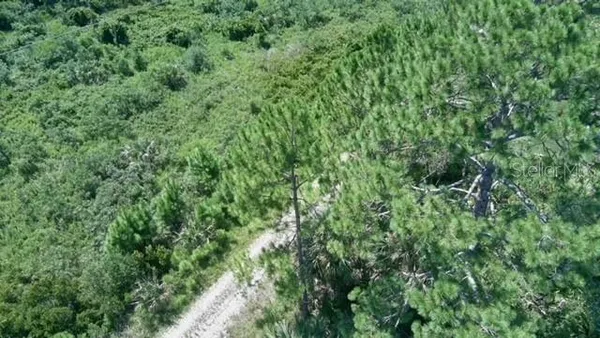 a view of a lush green outdoor space with a lake view and mountain view