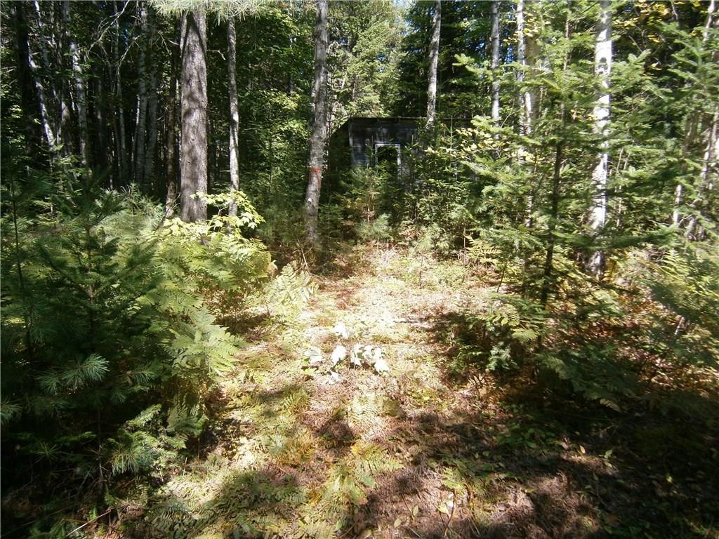 32 Lake Road Howland, ME 04448 - Photo 9 of 16 Maine Land for Sale in Seboeis...