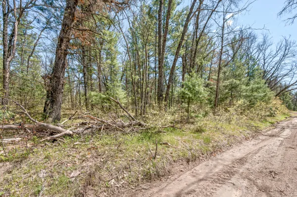 $8,600 | 1 Bradby Boulevard, Baldwin, MI 49304