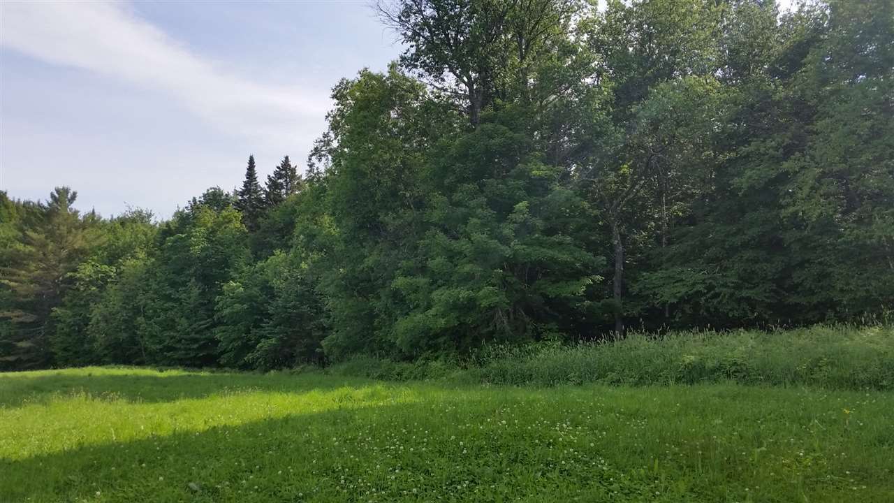 0 Cemetery Road Westfield, VT 05874 - Photo 5 of 10