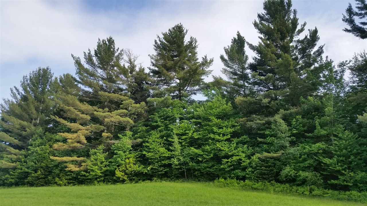 0 Cemetery Road Westfield, VT 05874 - Photo 7 of 10