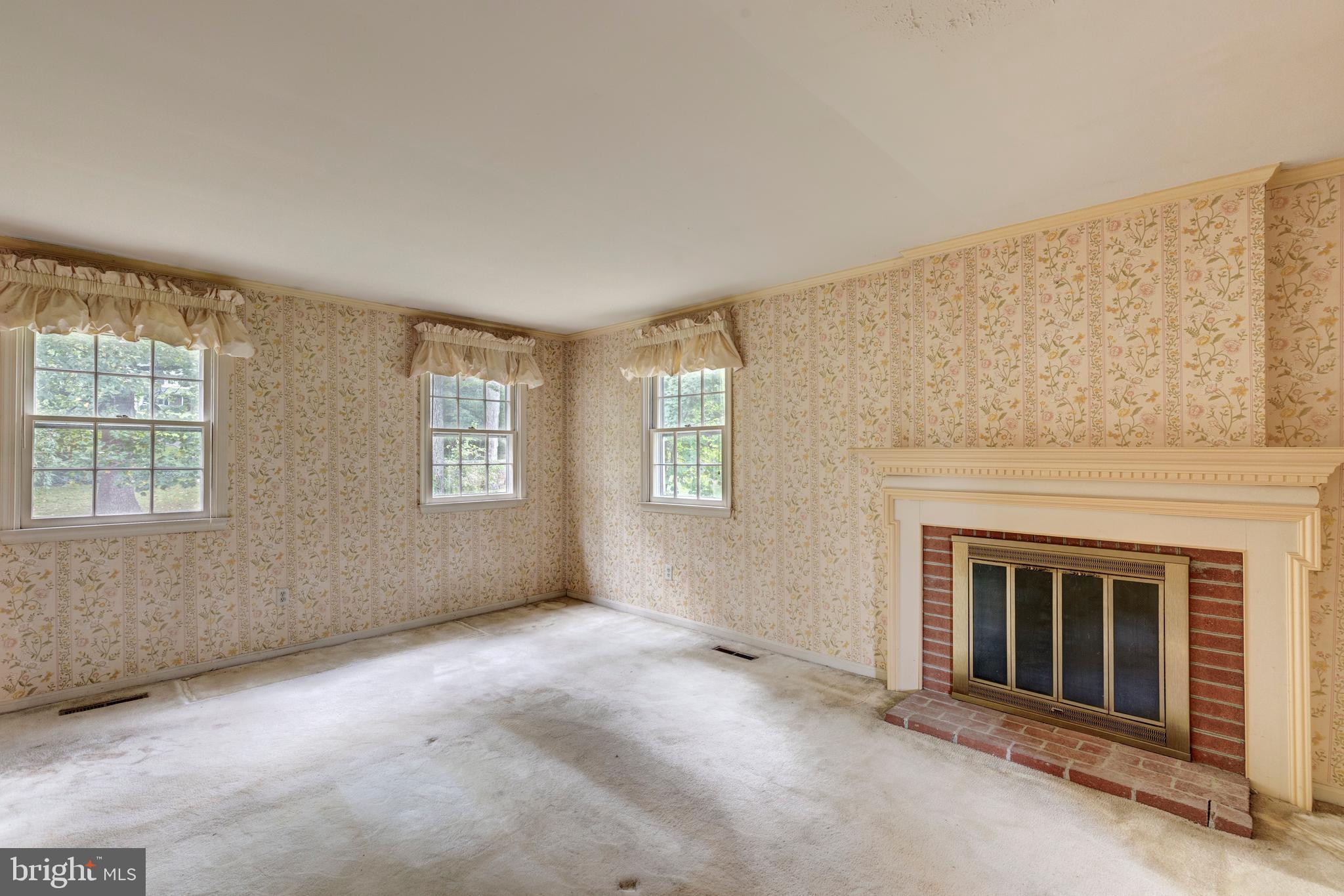 228 Leppo Road Westminster, MD 21158 - Photo 46 of 73 Primary bedroom with FP