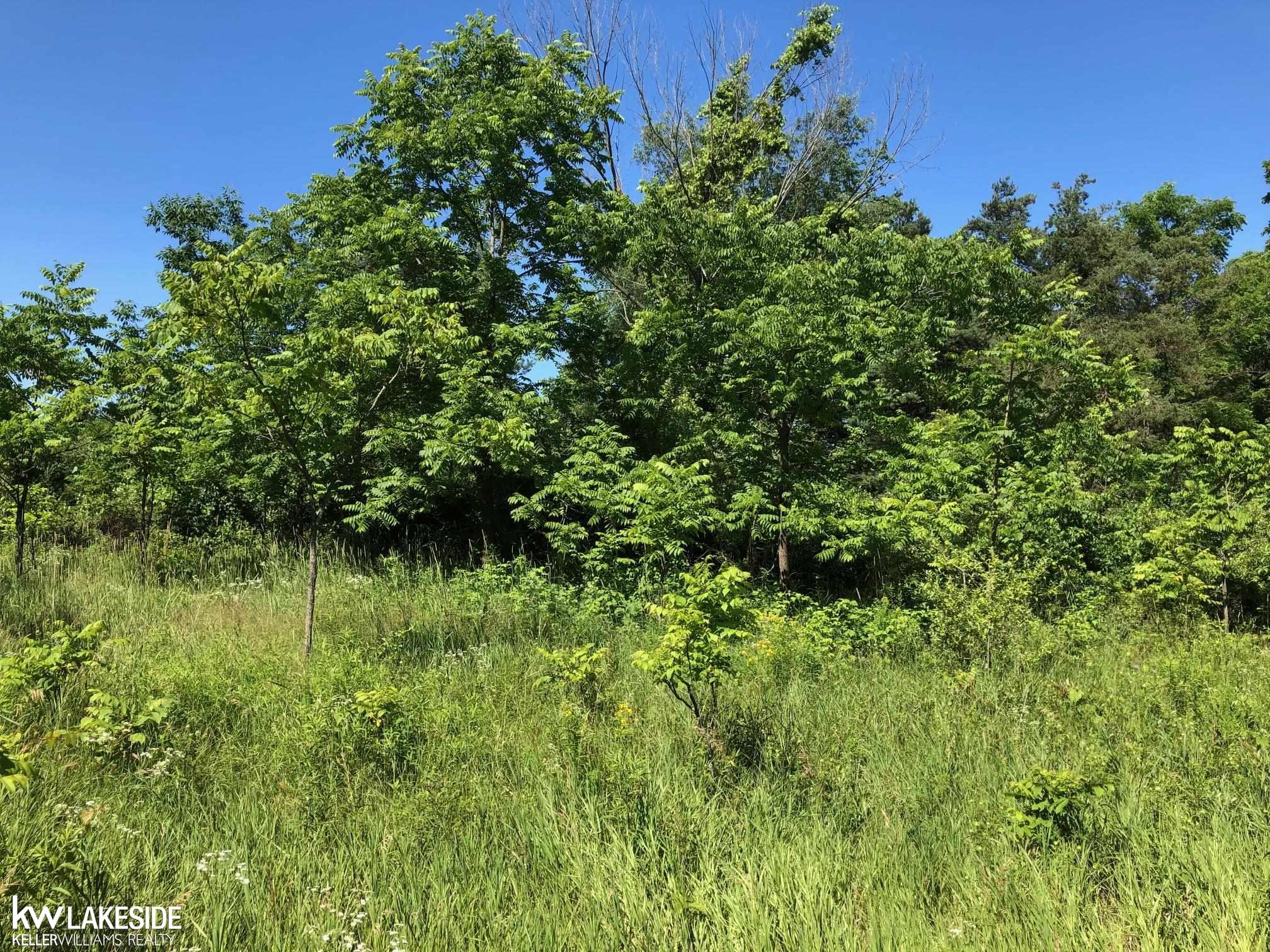 31 31 Mile Road Washington, MI 48095 - Photo 1 of 11
