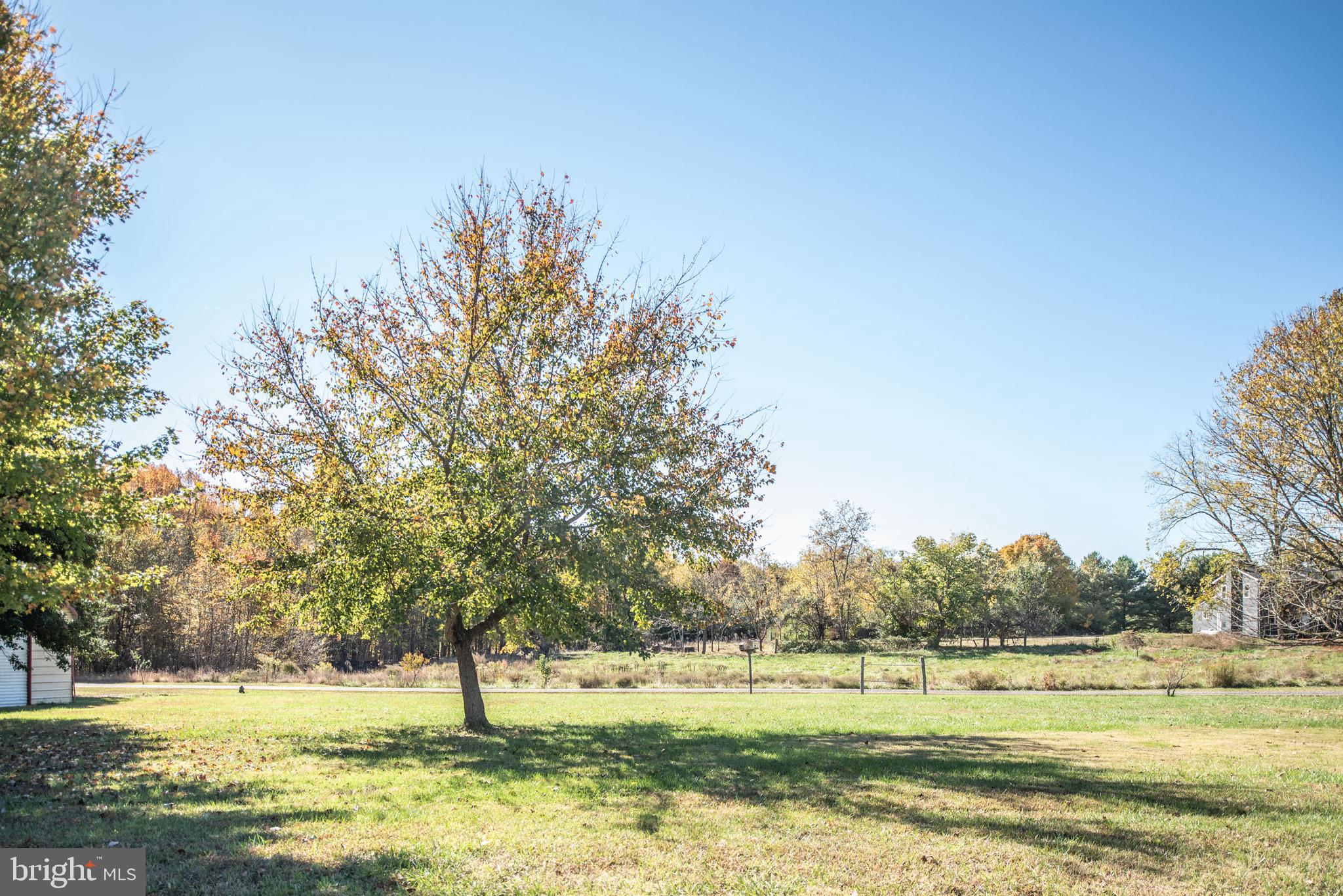8324 Marye Road Partlow, VA 22534 - Photo 41 of 46 Very Flat Lot