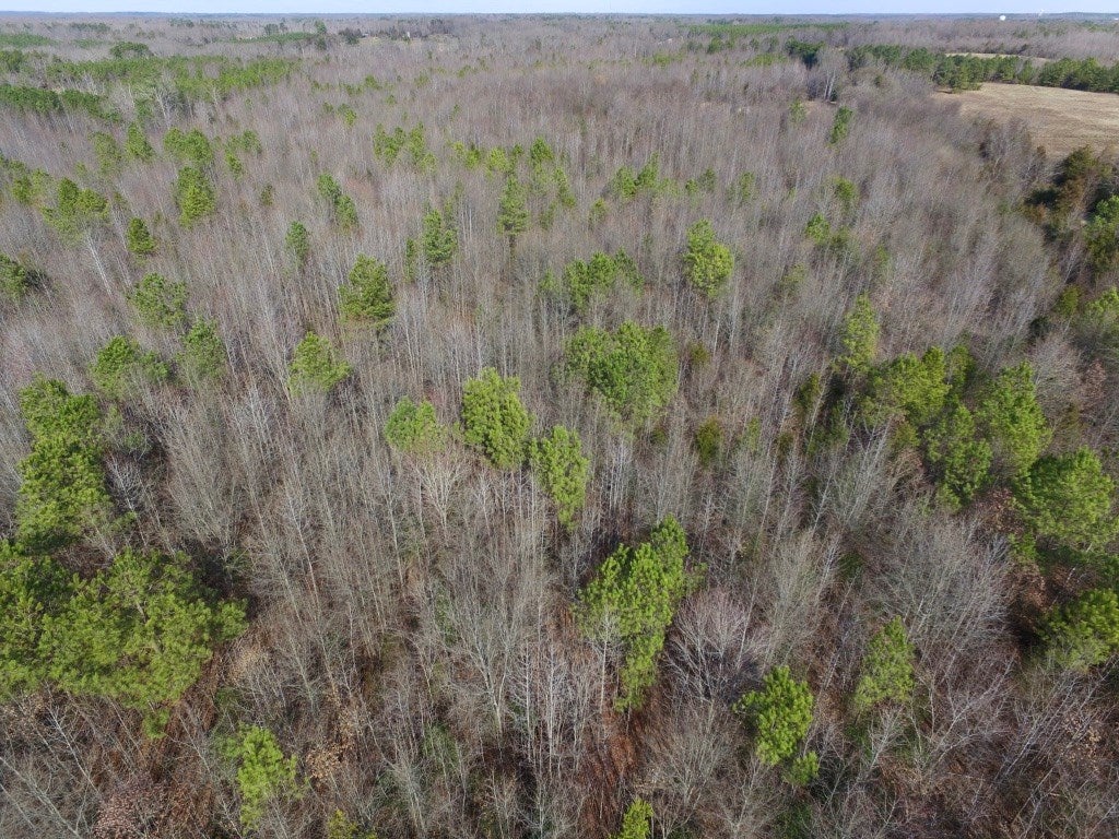 0 Taylor Ferry Road Boydton, VA 23917 - Photo 30 of 36 Gallery Image 30