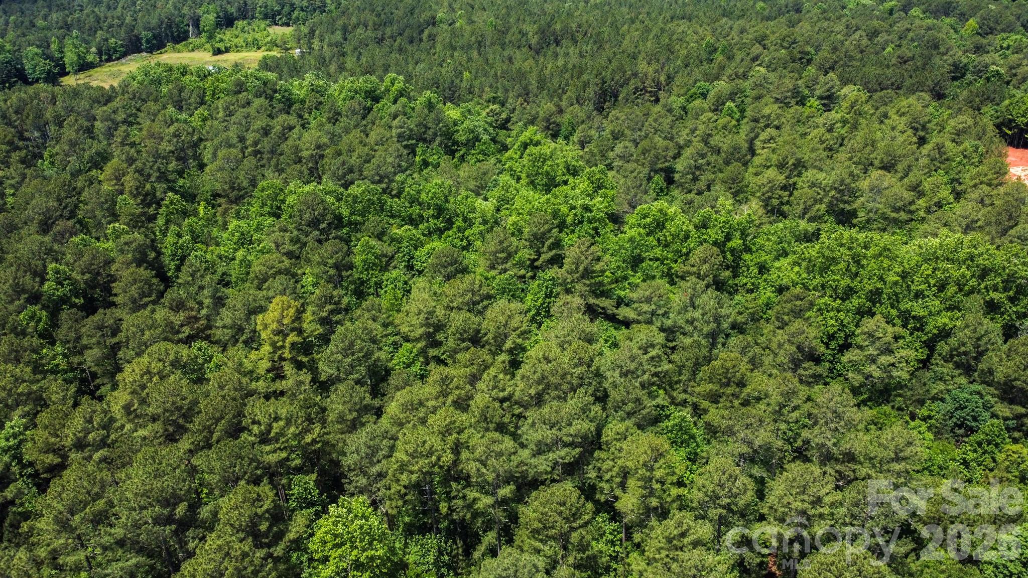 0 Mooresboro Road Mooresboro, NC 28114 - Photo 14 of 17 a view of a lush green forest
