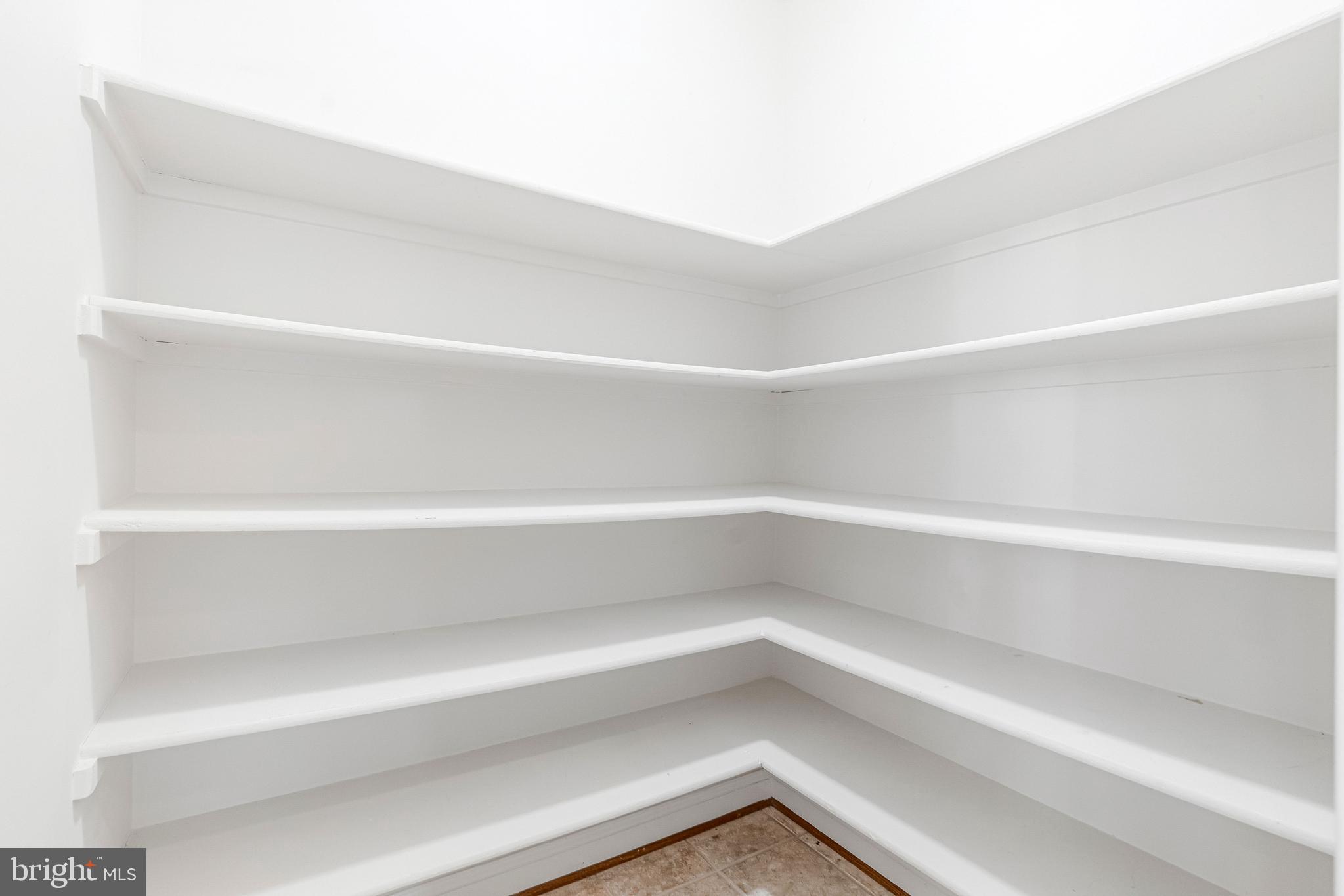 5802 Ridings Manor Place Centreville, VA 20120 - Photo 30 of 86 Walk-in Pantry