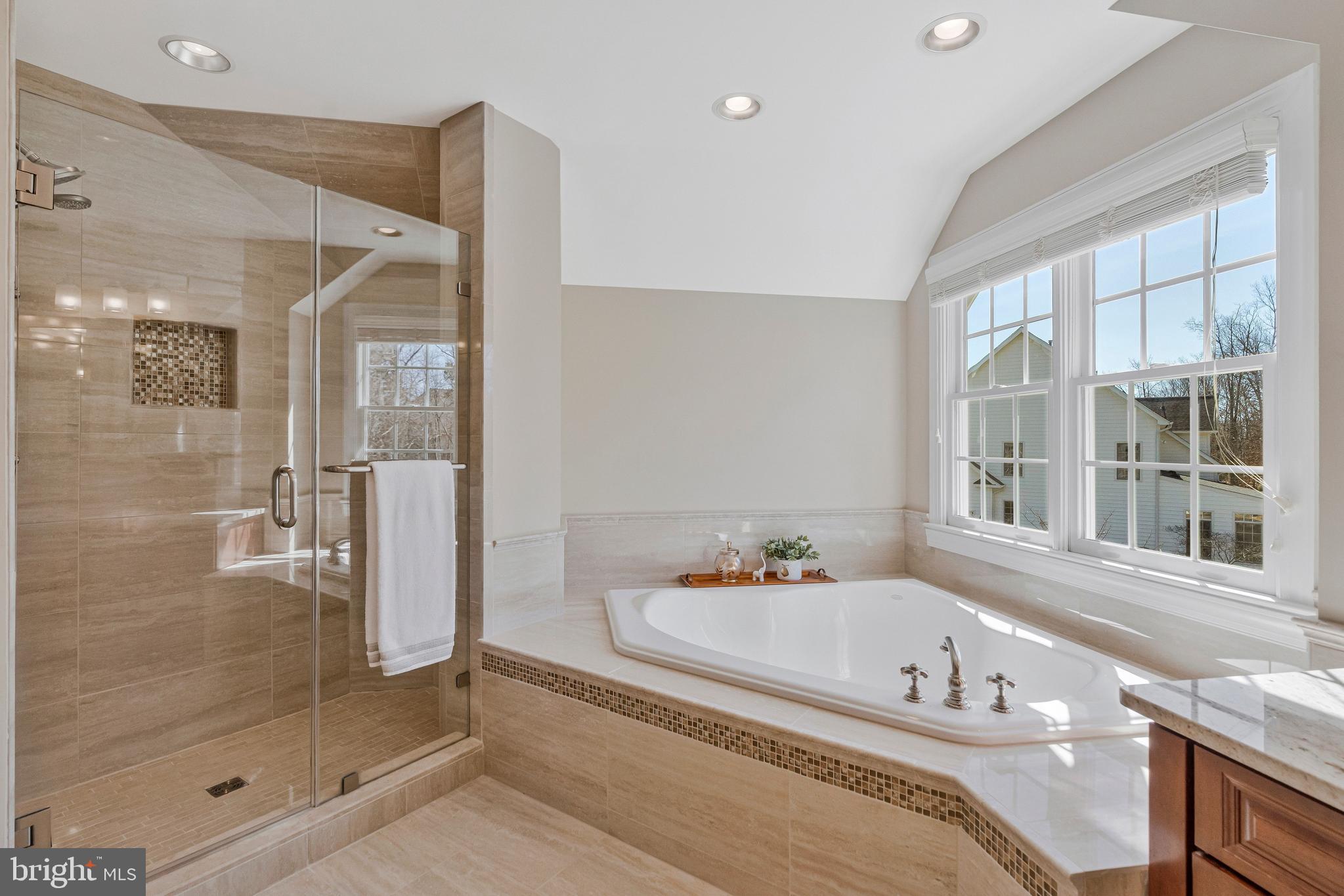 5802 Ridings Manor Place Centreville, VA 20120 - Photo 36 of 86 Soaking Tub and Sep Shower