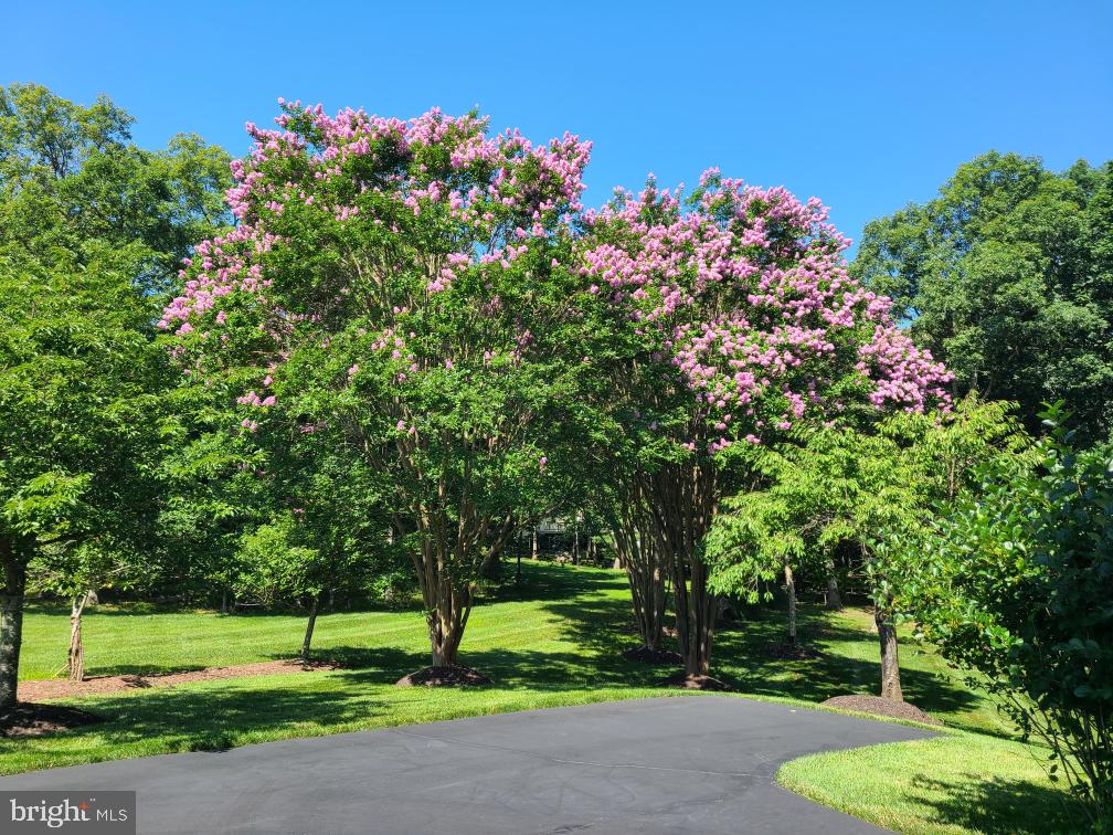 5802 Ridings Manor Place Centreville, VA 20120 - Photo 80 of 86