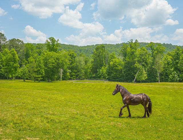 430 No Pone Valley Road Northwest Georgetown, TN 37336 - Photo 45 of 130 430 No Pone Valley Rd. RE MLS-30