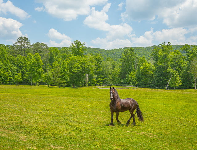430 No Pone Valley Road Northwest Georgetown, TN 37336 - Photo 46 of 130 430 No Pone Valley Rd. RE MLS-31