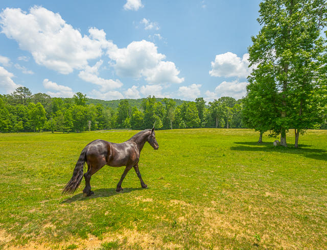 430 No Pone Valley Road Northwest Georgetown, TN 37336 - Photo 47 of 130 430 No Pone Valley Rd. RE MLS-33