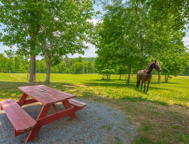 430 No Pone Valley Road Northwest Georgetown, TN 37336 - Photo 50 of 130 430 No Pone Valley Rd. RE MLS-43