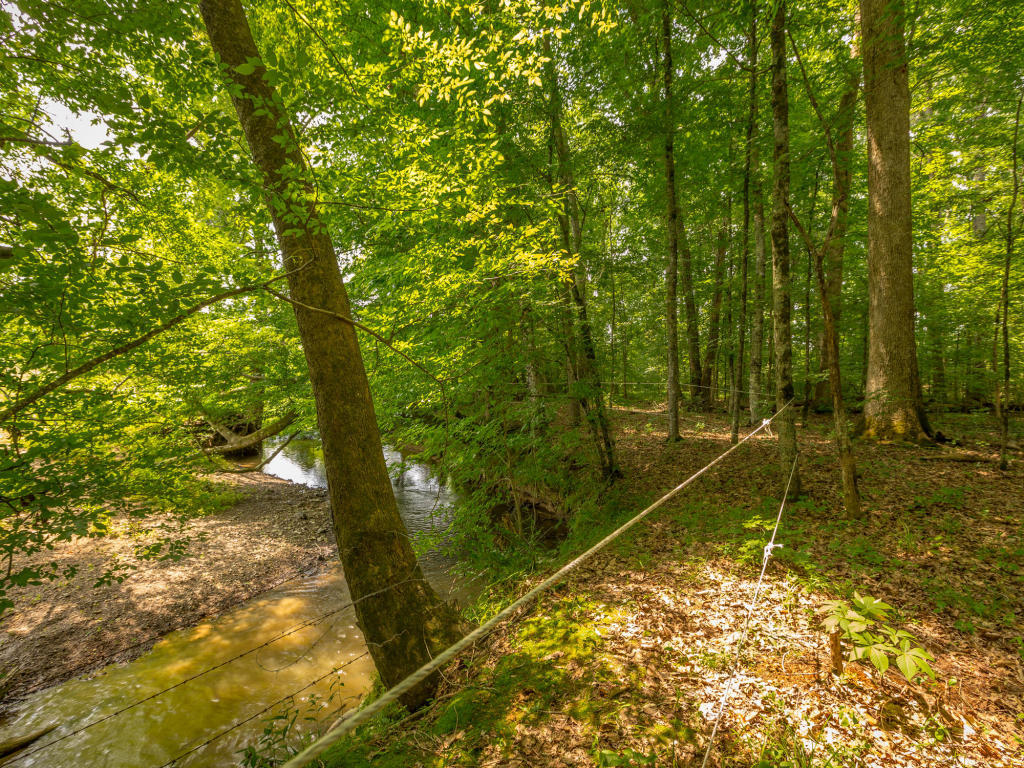 430 No Pone Valley Road Northwest Georgetown, TN 37336 - Photo 87 of 130 118
