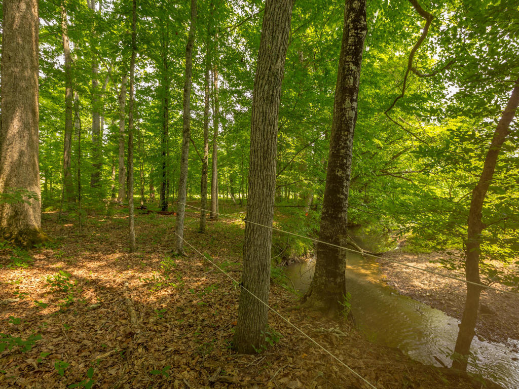 430 No Pone Valley Road Northwest Georgetown, TN 37336 - Photo 88 of 130 117