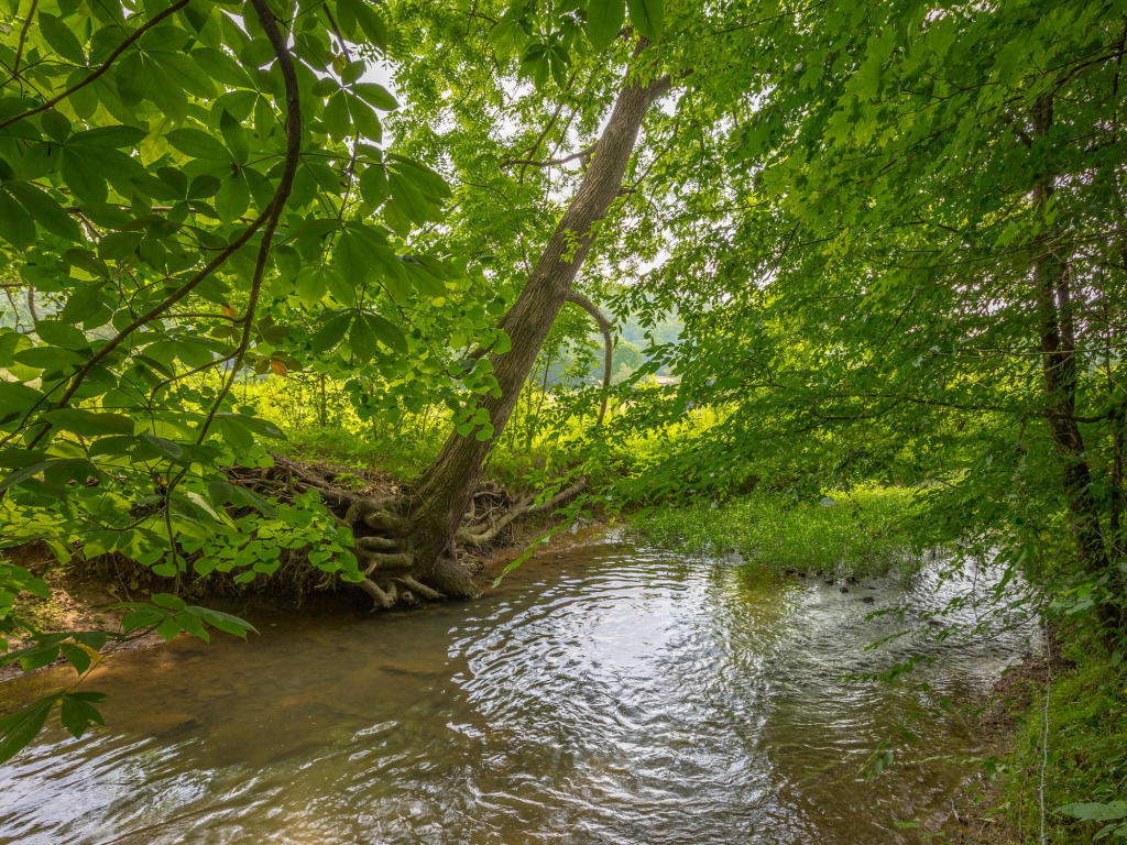 430 No Pone Valley Road Northwest Georgetown, TN 37336 - Photo 89 of 130 116