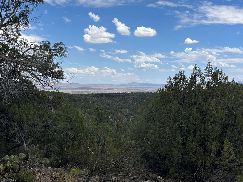 46675 North Edge Ridge Road Seligman, AZ 86337 - Photo 7 of 28
