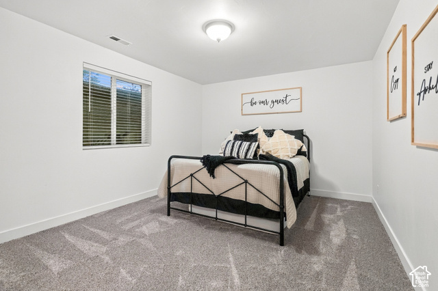 244 East Sevier River Road Central Valley, UT 84754 - Photo 63 of 66 White walls with gray carpet, a single window, and a ceiling-mounted light fixture