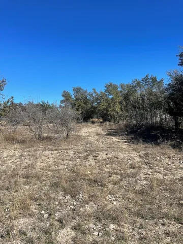 a view of a yard with trees in the background
