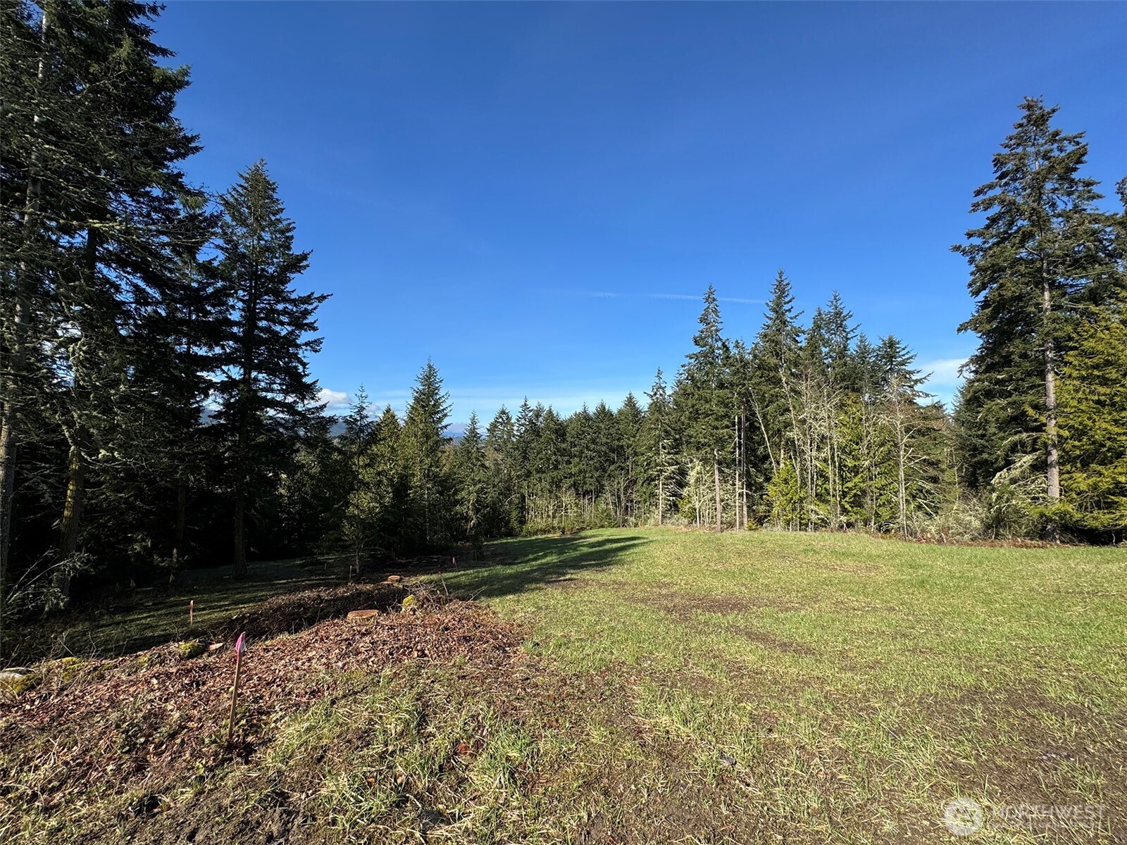 999 Fox Hollow Road Sequim, WA 98382 - Photo 11 of 21