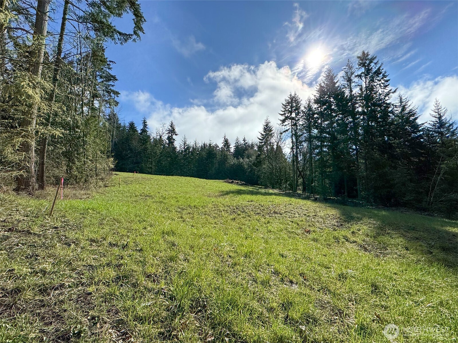 999 Fox Hollow Road Sequim, WA 98382 - Photo 12 of 21